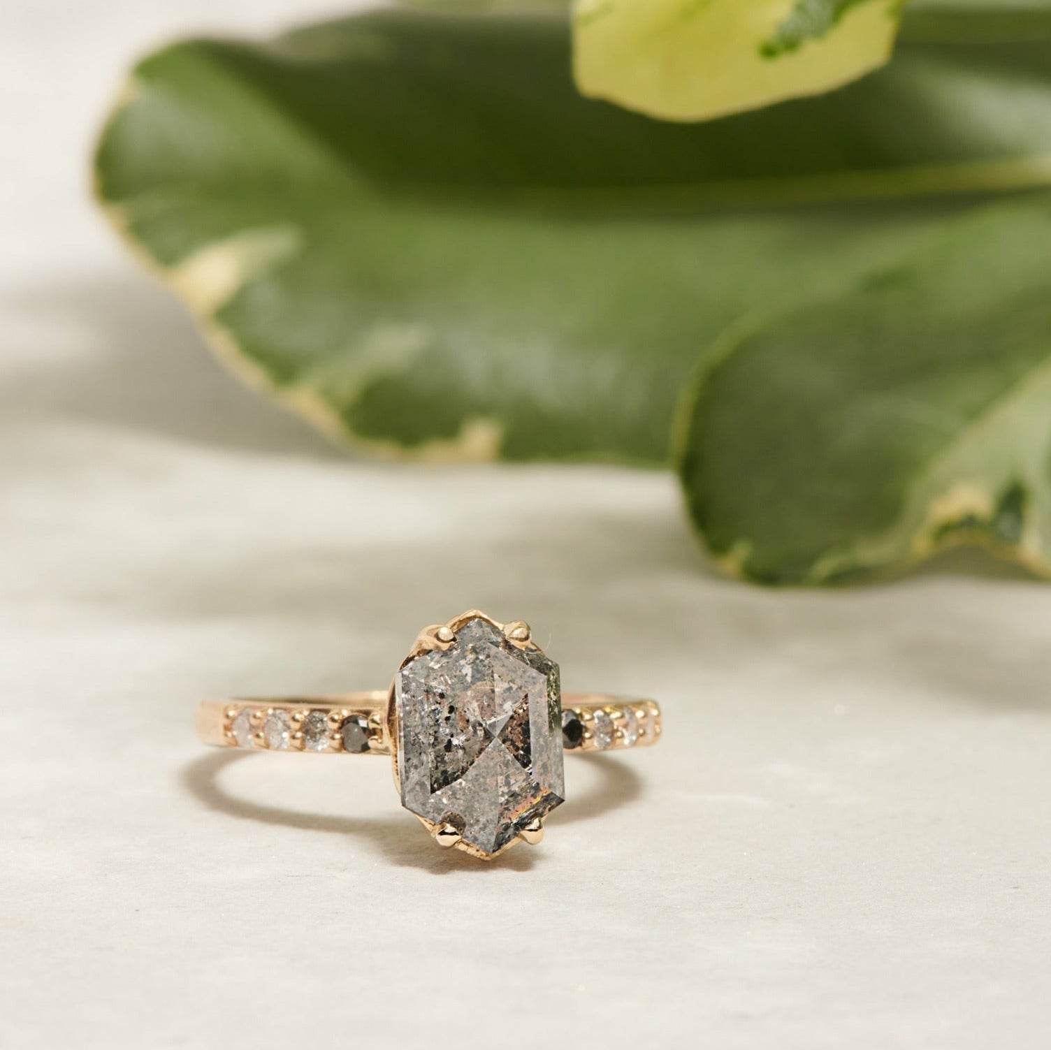 Grace | 3.05ct Elongated Hexagon Salt & Pepper Diamond Engagement Ring with Ombre Diamond Pave Band - MTD