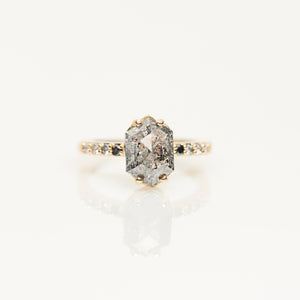 Grace | 3.05ct Elongated Hexagon Salt & Pepper Diamond Engagement Ring with Ombre Diamond Pave Band - MTD