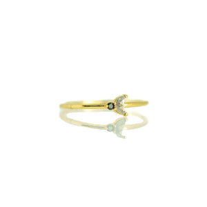 Luna Arktos Ring with salt & pepper diamond crescent moon and black diamond