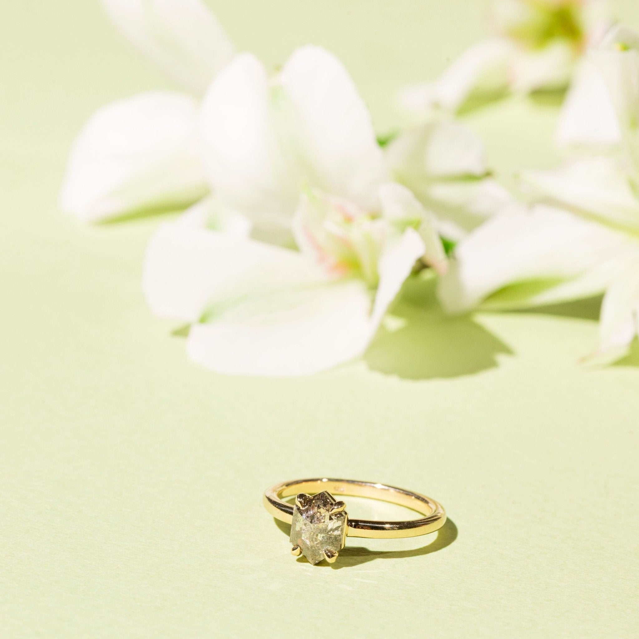 Stardust Elongated Hexagon Salt and Pepper Diamond Engagement Ring - MTD