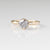 Brilliant Cut Salt And Pepper Diamond Ring detailed front view