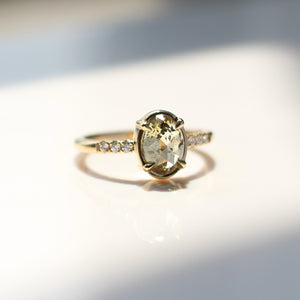  Oval Champagne Salt & Pepper Diamond Ring in sunlight quarter front view