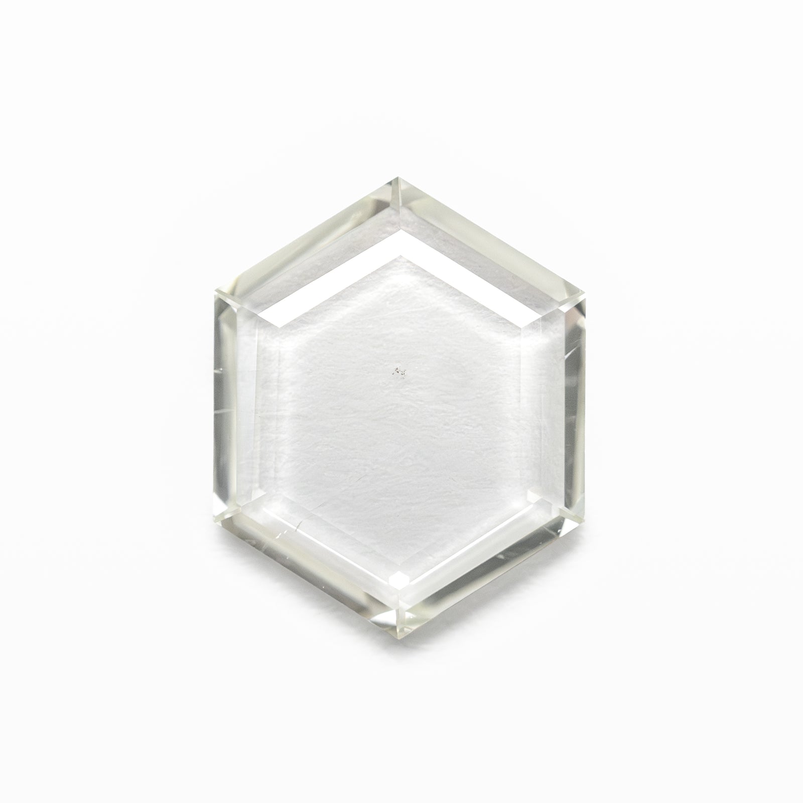 1.02ct 9.42x7.55x1.33mm SI2 L Hexagon Portrait Cut 18878-03