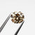 1.00ct 6.22x5.72x3.90mm I1 C5 Cushion Brilliant 🇨🇦 21804-01