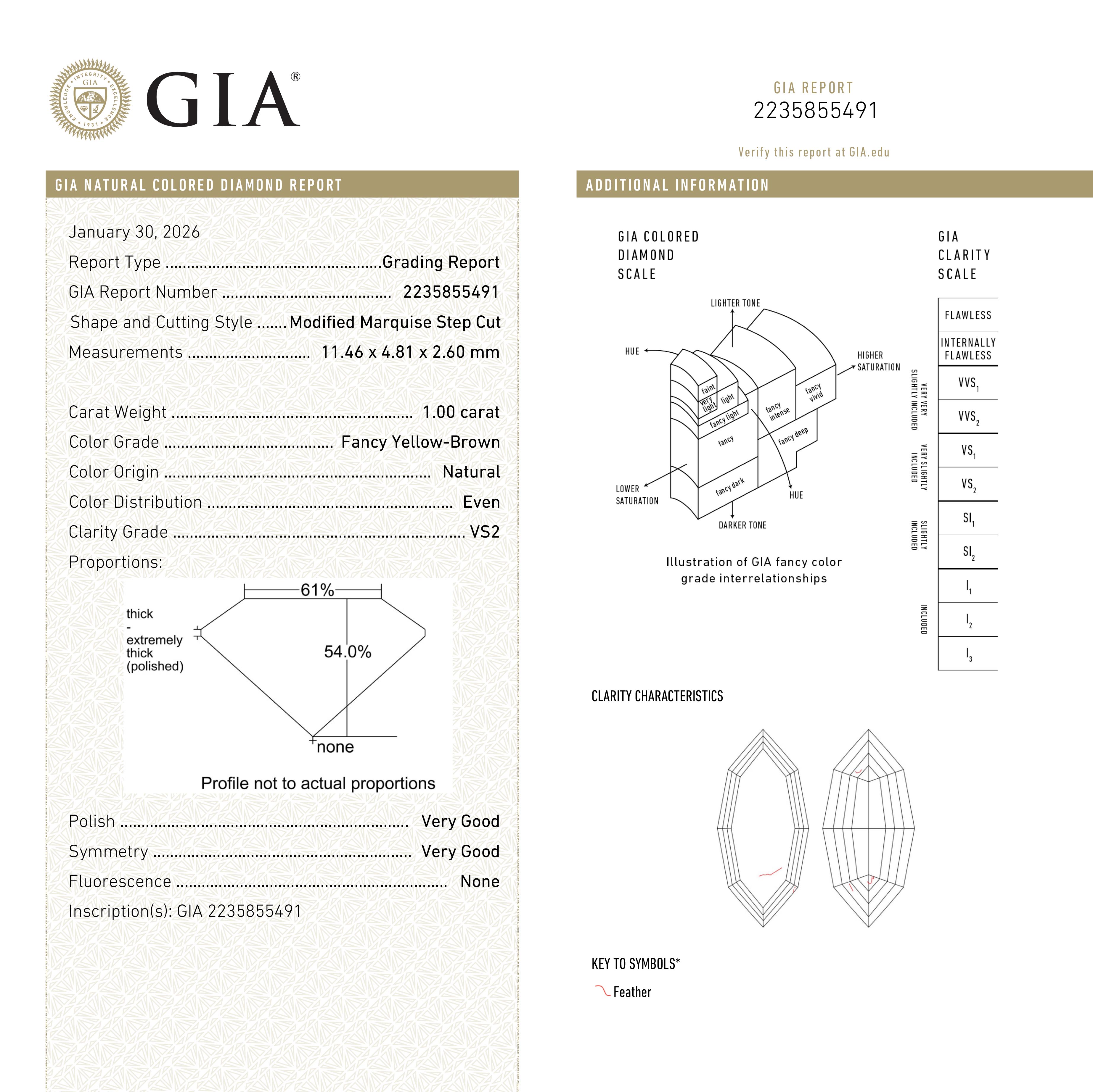 1.00ct 11.46x4.81x2.60mm GIA VS2 Fancy Yellow-Brown Geo Marquise Step Cut 🇿🇦 27525-01