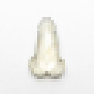 1.58ct 10.45x6.21x2.52mm Penis Rosecut Sapphire 22629-05