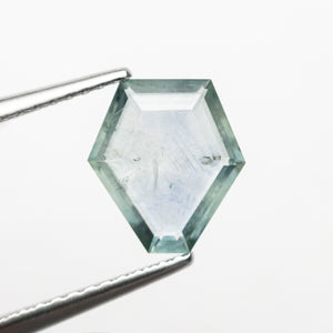 1.43ct 8.84x8.03x1.96mm Shield Portrait Cut Sapphire 23089-09