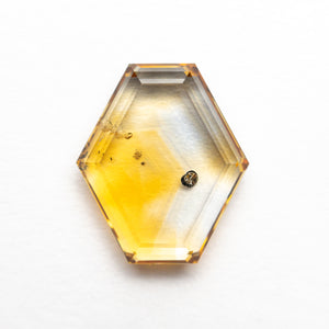 2.67ct 10.29x8.93x2.62mm Hexagon Portrait Cut Sapphire 23469-07