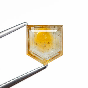 1.89ct 7.59x6.89x2.80mm Shield Portrait Cut Sapphire 23469-45