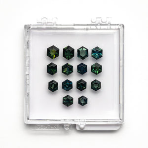 14.52cttw 14pc Hexagon Step Cut Sapphire Parcel 23498-00