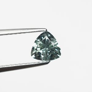 0.98ct 5.99x6.01x3.67mm Trillion Brilliant Sapphire 23675-03