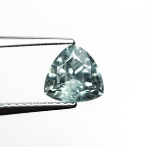1.61ct 6.77x6.93x4.49mm Trillion Brilliant Sapphire 23676-05