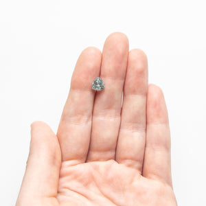 1.61ct 6.77x6.93x4.49mm Trillion Brilliant Sapphire 23676-05