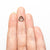 2.14ct 8.41x8.30x3.25mm Trillion Portrait Cut Sapphire 23678-12