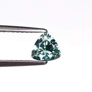 0.63ct 5.16x5.34x3.19mm Trillion Brilliant Sapphire 23692-01