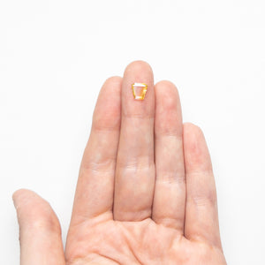 0.70ct 6.60x6.87x1.36mm Geometric Portrait Cut Sapphire 23801-01