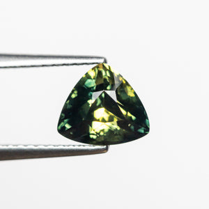 1.65ct 6.60x7.48x4.86mm Trillion Brilliant Sapphire 23804-11
