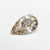 1.01ct 9.20x5.45x2.97mm VS2 C4 Pear Brilliant 23830-01