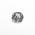 0.59ct 5.54x5.28x2.88mm SI2 H-I Antique Old European Cut 24422-01