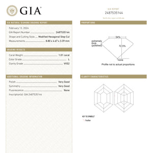 1.01ct 8.80x4.67x3.39mm GIA VVS2 L Hexagon Step Cut 25078-01