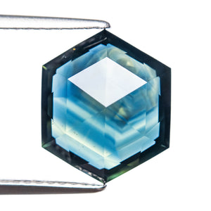 4.90ct 11.89x9.95x4.39mm Hexagon Step Cut Sapphire 25116-01
