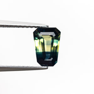 1.55ct 7.71x5.52x3.75mm Shield Step Cut Sapphire 25189-01