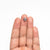 1.54ct 7.07x7.04x3.39mm Round Rosecut 25453-02