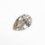 0.81ct 8.01x5.27x3.05mm VVS1 L Pear Brilliant 🇨🇦 26121-03