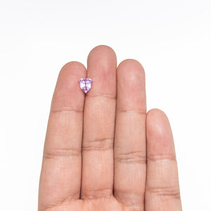 1.50ct 7.29x6.82x4.45mm Shield Brilliant Sapphire 26401-01