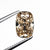 1.87ct 9.23x6.25x4.35mm VS2 C5 Cushion Brilliant 🇨🇦 26818-01