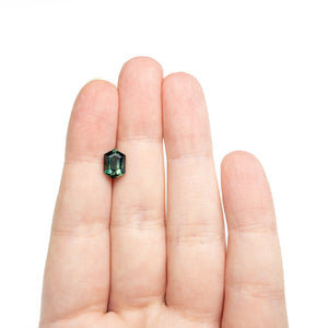 2.73ct 9.19x6.61x5.24mm Hexagon Step Cut Sapphire 27321-03