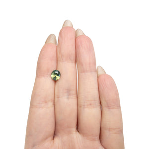 2.00ct 7.65x6.72x4.73mm Oval Brilliant Sapphire 28254-01