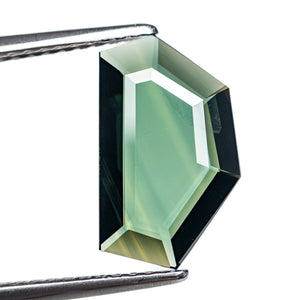 2.37ct 13.18x7.88x2.19mm Shield Portrait Cut Sapphire 28298-06