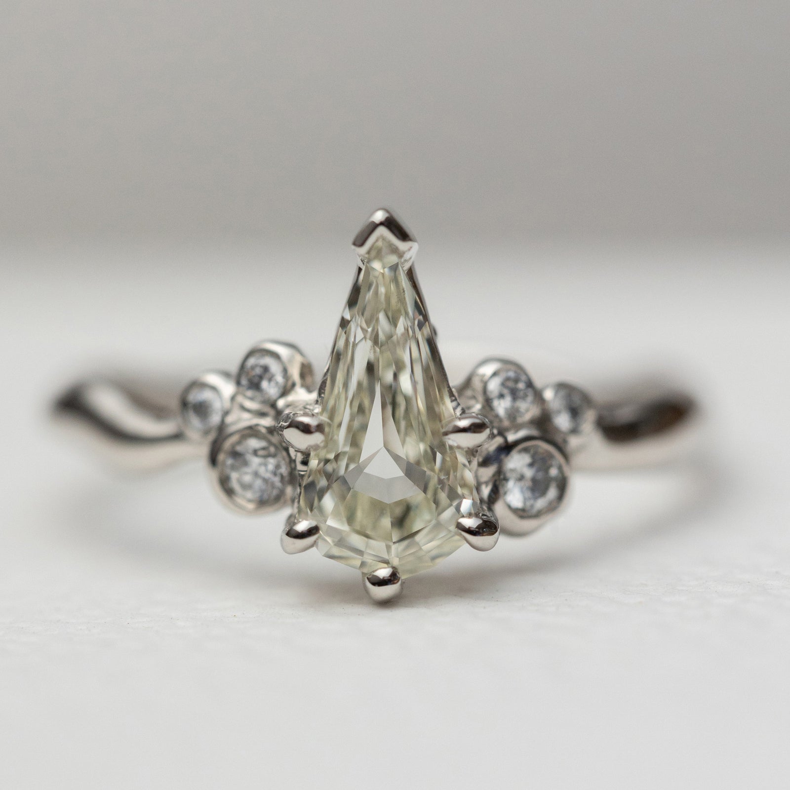 1.01ct Geo Pear Step Cut <br><b> Ileavea Jewelry </b>| Water with Berries Platinum Ring