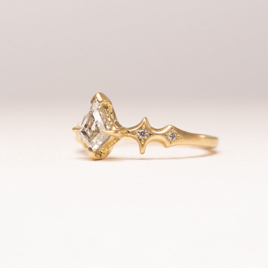 0.84ct Kite Step Cut <br><b> Ileava Jewelry </b> | Sylvie - Kite Shape Canadian Salt and Pepper