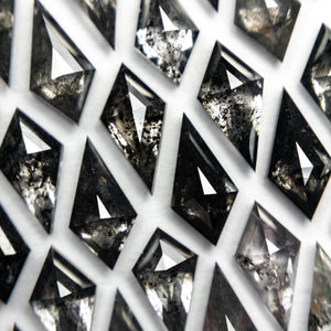 Salt and Pepper Kite Rosecut Melee