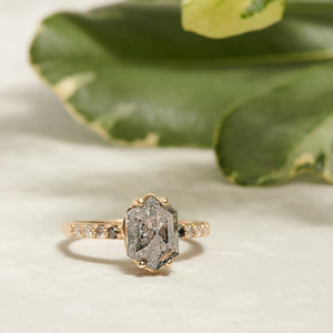 Grace | 3.05ct Elongated Hexagon Salt & Pepper Diamond Engagement Ring with Ombre Diamond Pave Band - MTD