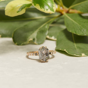 Grace | 3.05ct Elongated Hexagon Salt & Pepper Diamond Engagement Ring with Ombre Diamond Pave Band - MTD