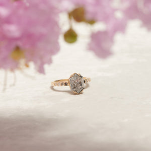 Grace | 3.05ct Elongated Hexagon Salt & Pepper Diamond Engagement Ring with Ombre Diamond Pave Band - MTD