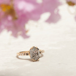 Grace | 3.05ct Elongated Hexagon Salt & Pepper Diamond Engagement Ring with Ombre Diamond Pave Band - MTD