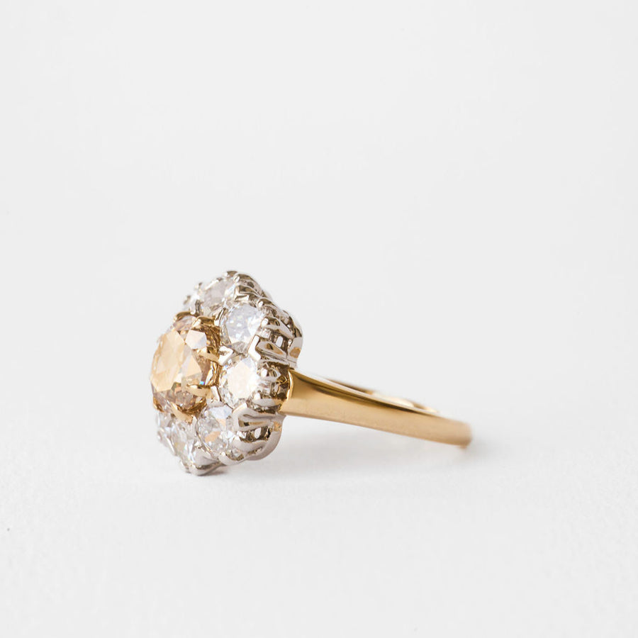 1.54ct Cushion Double Cut <br><b>June Rings</b> | Champagne Floral Cluster