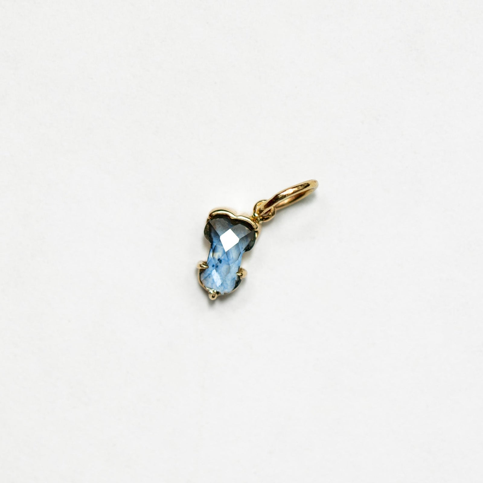Blue sapphire Hermes Charm