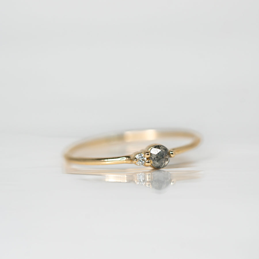 Salt & Pepper Diamond Arktos Ring set in 14k yellow gold