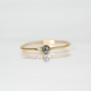 Salt & Pepper Diamond Arktos Ring set in 14k yellow gold