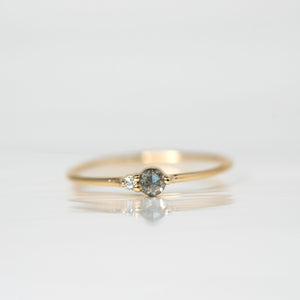 Salt & Pepper Diamond Arktos Ring set in 14k yellow gold