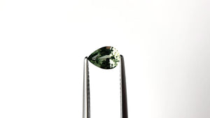 0.75ct 6.88x4.93x2.99mm Pear Brilliant Sapphire 23425-42