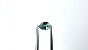 0.64ct 6.45x4.53x3.06mm Pear Brilliant Sapphire 23425-53