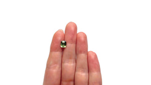 2.01ct 7.48x6.05x4.66mm Cushion Brilliant Sapphire 27205-01