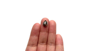 3.27ct 11.23x8.11x4.32mm Pear Rosecut 20915-06