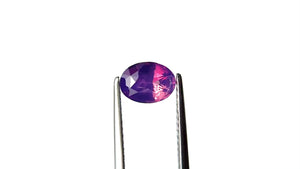 1.56ct 8.11x6.37x3.61mm Oval Brilliant Sapphire 27508-01